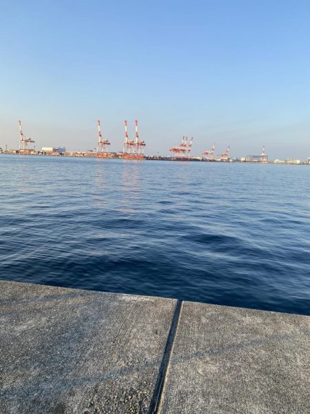 沖堤防にて大サバと今年初の鰆