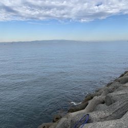 渋いながらも取れました