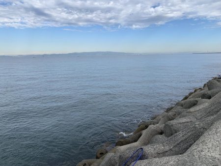 渋いながらも取れました