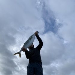 ブリまであとちょっと