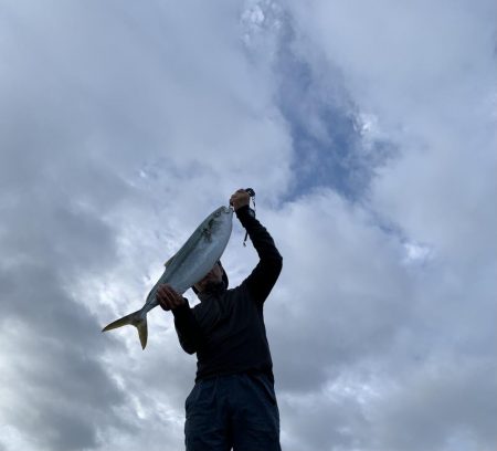 ブリまであとちょっと