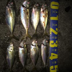 リベンジアジング