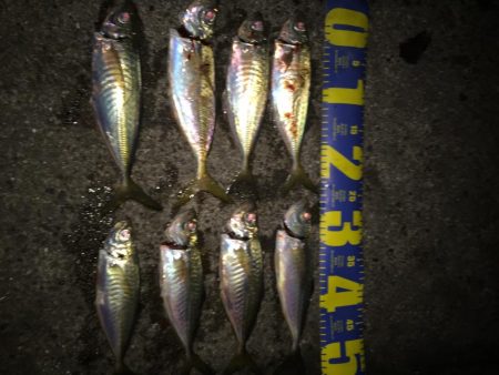 リベンジアジング