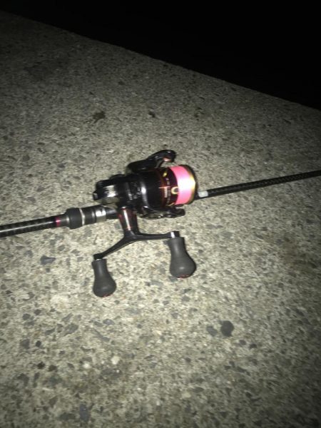 朝マズメに良型アオリイカGET