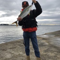 西宮ケーソン ギリギリメジロ上がりました