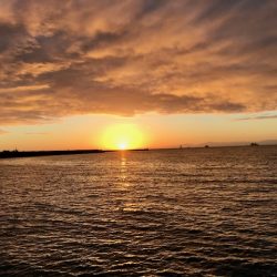 朝まずめ短時間エギング