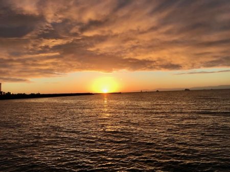 朝まずめ短時間エギング