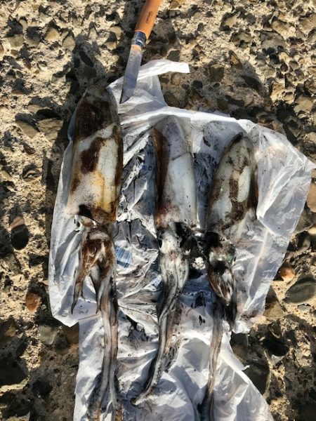 とてもシブかった