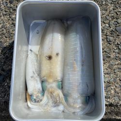 今シーズン最高