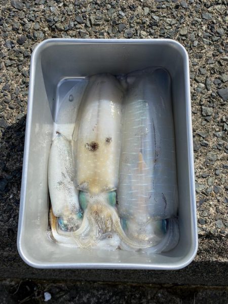 今シーズン最高