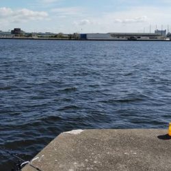 西宮ケーソンでサバゲー