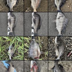 イチノ兄弟、釣果！