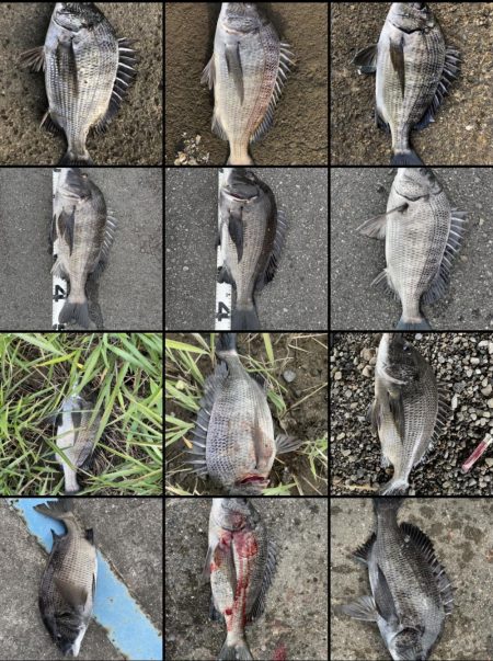 イチノ兄弟、釣果！