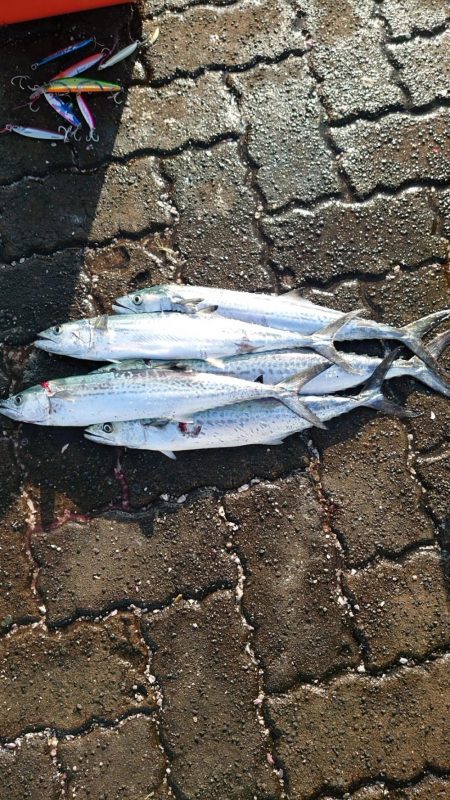 オータムフェスティバル