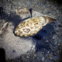 一気に寒さが、強くなりました。