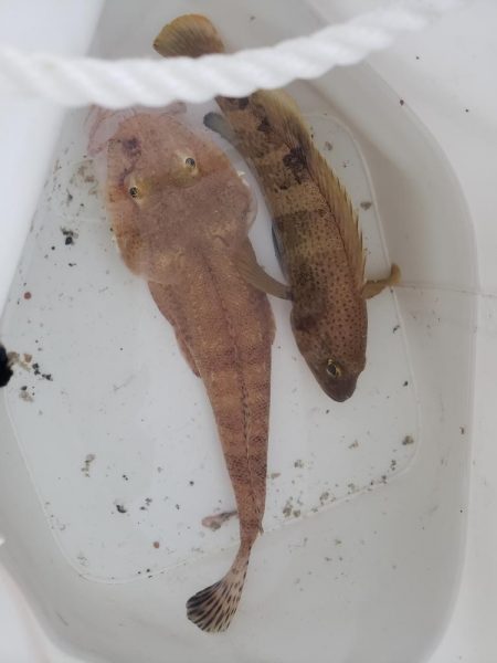 台風がこなかったので