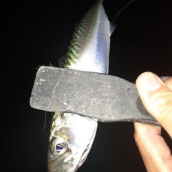 ライトゲーム49