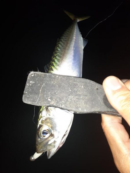 ライトゲーム49