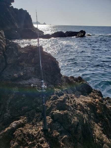 青モンは留守でした