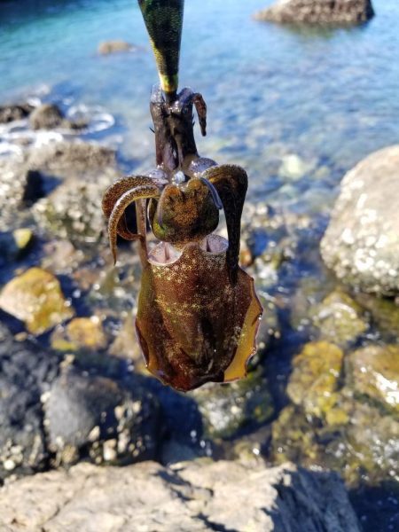 リベンジならず秋サイズ(..)