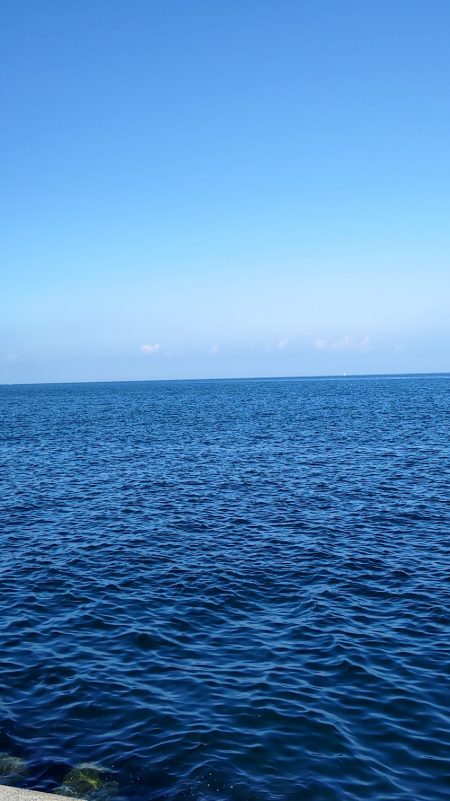 周りが釣れない中