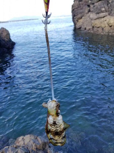 んー渋いです。