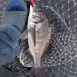 サイズが出ない１日でした