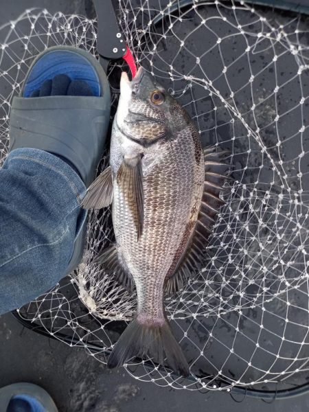 サイズが出ない１日でした