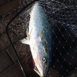 ブリリアントな１日