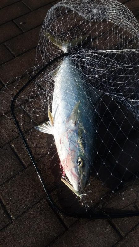 ブリリアントな１日