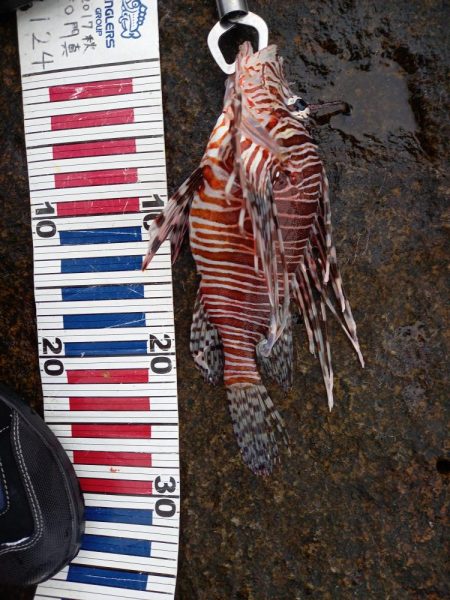 沖ノ島遠征part2