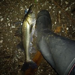 オープンエリアの明暗で