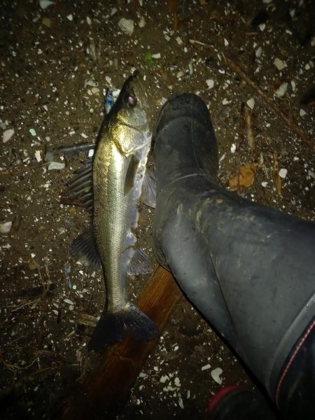 オープンエリアの明暗で