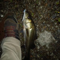 強風でラインコントロール出来ず