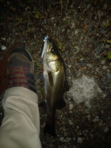 強風でラインコントロール出来ず