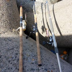 プチsalt water game