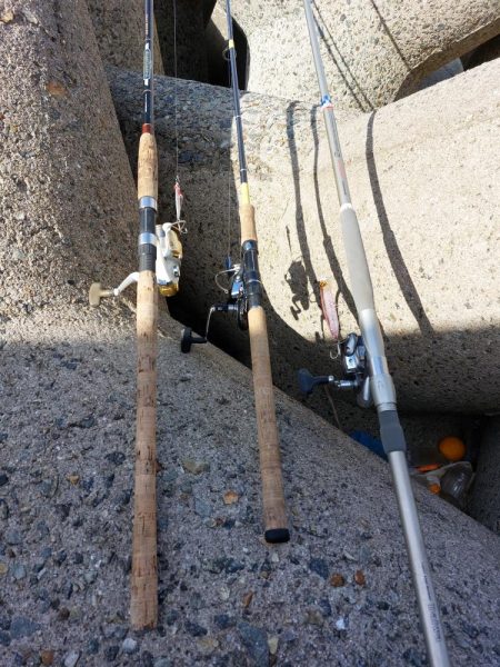 プチsalt water game