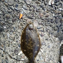 もう居てますね