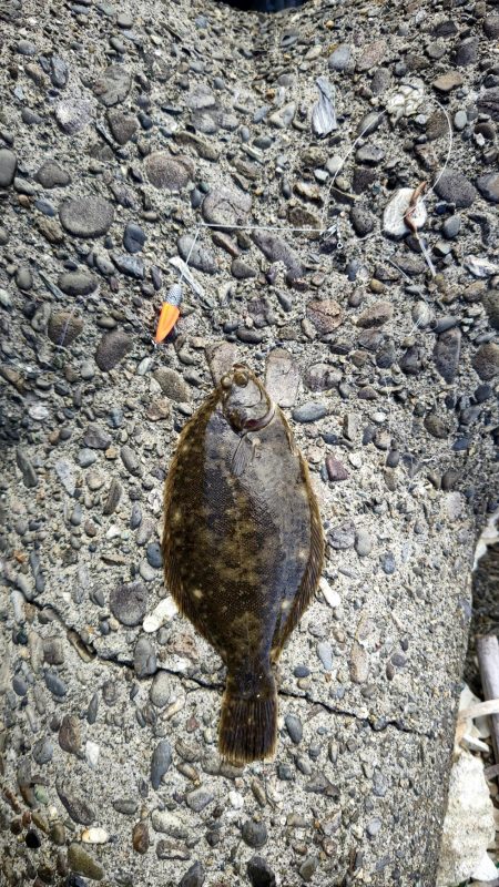 もう居てますね