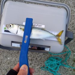 期待してなかったのに