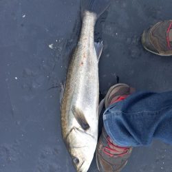 フラッシュブーストは凄い