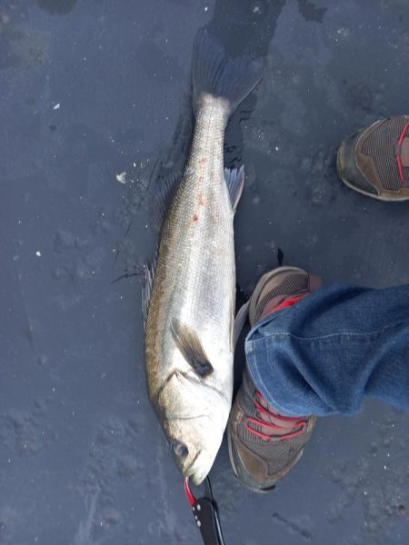 フラッシュブーストは凄い