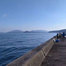 激シブのディエギング