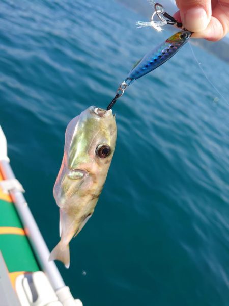 ゴムボート釣行