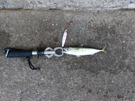 プチsalt water game