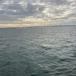 マイクロベイトパターン