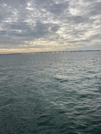 マイクロベイトパターン