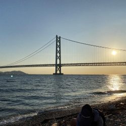 こんな場所にアイナメが…