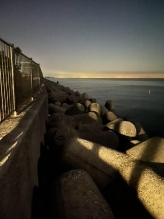 久しぶりの淡路島タチウオ