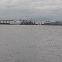 タチウオ&大鯖狙いで結局中鯖